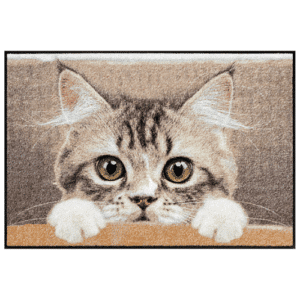 Tapis Nosy Cat 50X75cm SALONLOEWE EFIA