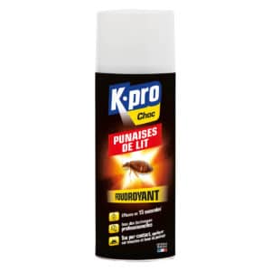 Bidon insecticide punaises de lit 2L K.PRO Choc