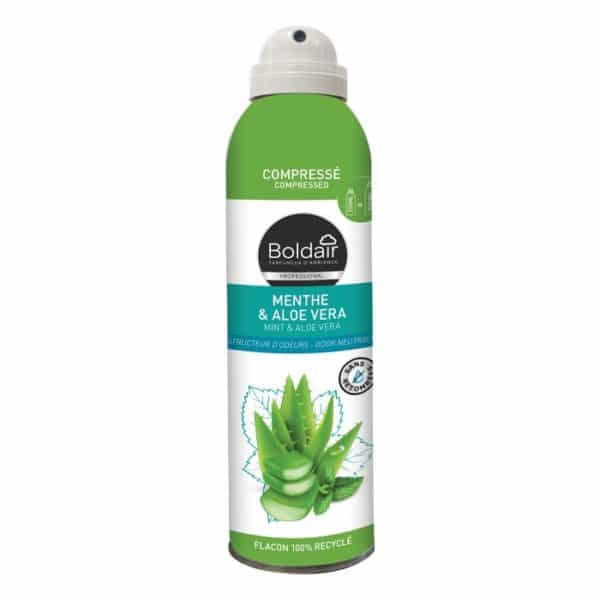 Destructeur d'odeurs Menthe & Aloé Vera 250ml BOLDAIR