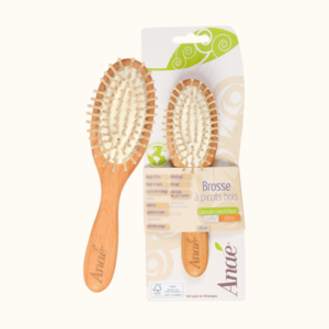 Petite brosse à picots en bois de hêtre ANAÉ