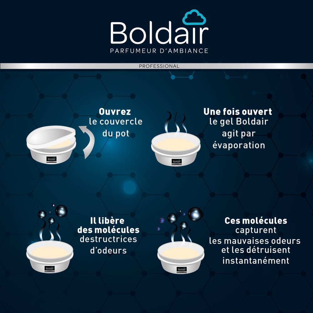 Destructeur d'odeurs 300g BOLDAIR – Image 2