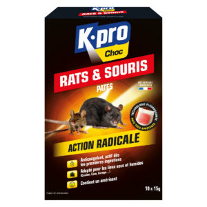 Boite à appât sécurisée pour rat