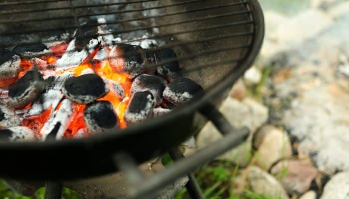 BARBECUE ET PLANCHA - QUELLES SOLUTIONS DE NETTOYAGE ? - Droguerie francaise