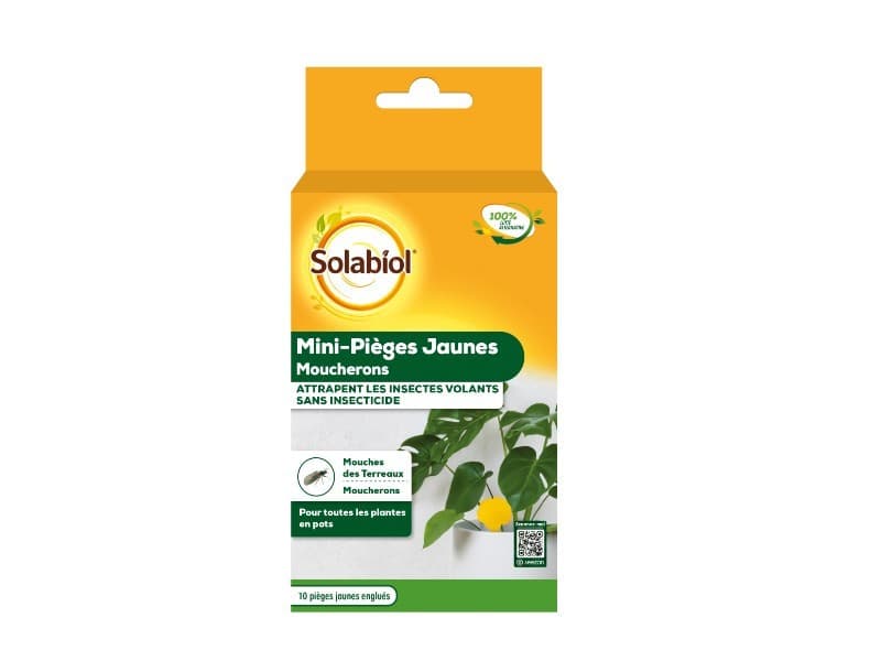 Pièges à mouches de terreaux SOLABIOL